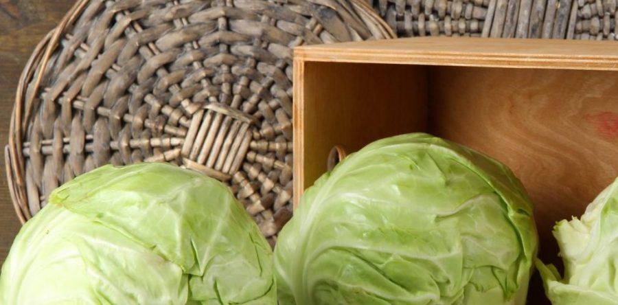 White Cabbage